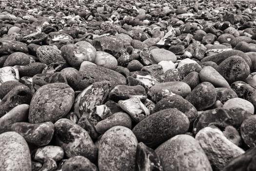 Chalk coast in the Jasmund National Park, Ruegen island