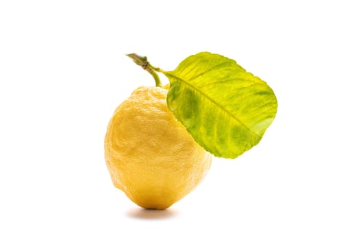 Close up of ripe lemons with leaves on white background. Healthy nutrition. Health.