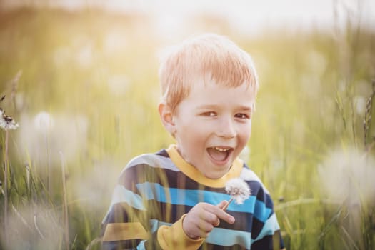 Happy boy standing on the field with dandelions Child outdoors in nature