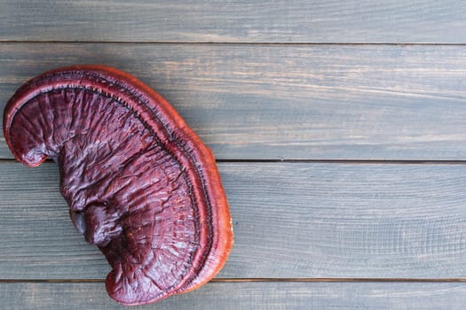 Close up of Ling zhi mushroom, Ganoderma lucidum mushroom on wood table