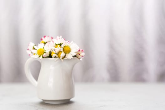 Daisy flowers in a vase on gray background with copy space. minimalist style. Spring holidays concept. Banner. Soft focus