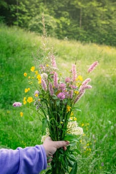 The woman is holding a freshly cut bouquet of of beautiful multi-colored garden flowers. Gardening