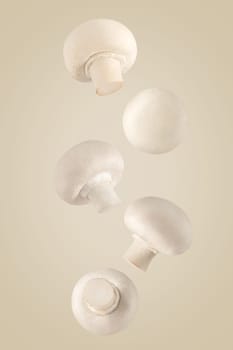 Isolated vegetables. Five whole champignon mushrooms falling down with clipping path as package design element. Full depth of field. Food levitation concept.