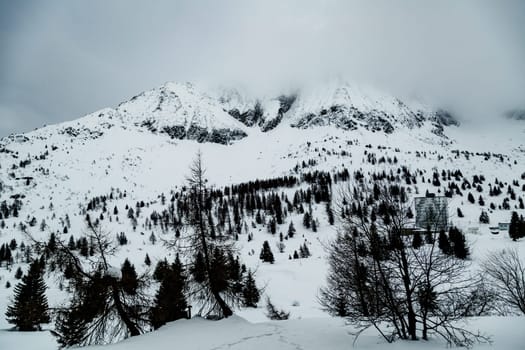 Winter landscape with lots of white snow. Concept of vacation during the winter holidays in the high mountains. Selective focus. Presena Glacier, Italy