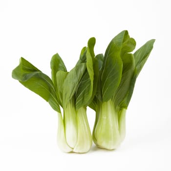 Young fresh Pak Choi Vegetables over white Background