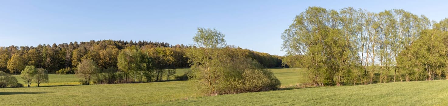 Panorama from beautiful meadows and farmland in hesse Germany in summer.