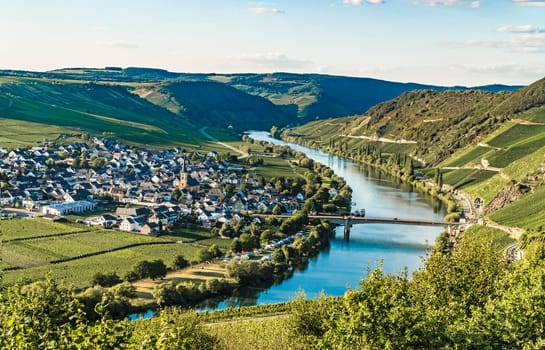 Beautiful moselle valley with view to Trittenheim in Germany