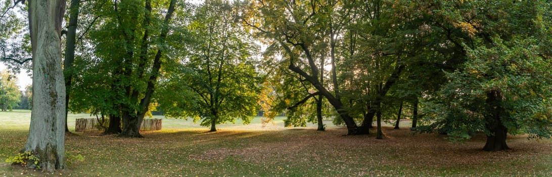 Beautiful autumn scenic in october in public park in germany
