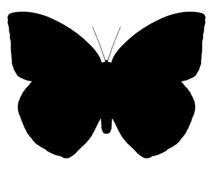 Schwarze Silhouette des Schmettlerings Zitronenauswanderer auf weiss