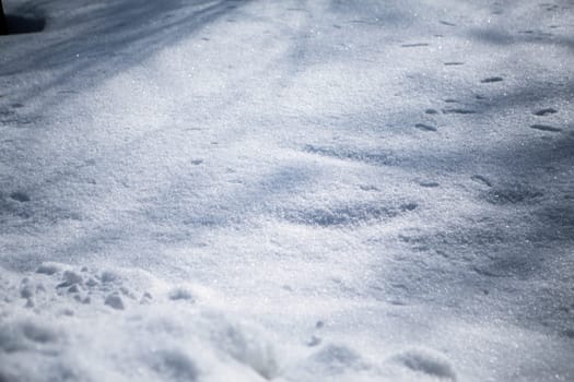 white snowflakes  background, rough pattern of snow texture