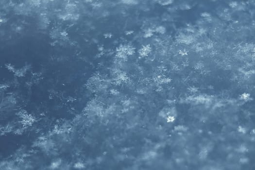 Macro photo of bright snow background