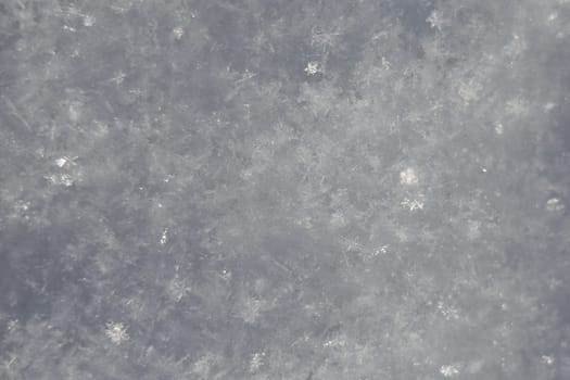 white snowflakes  background, rough pattern of snow texture