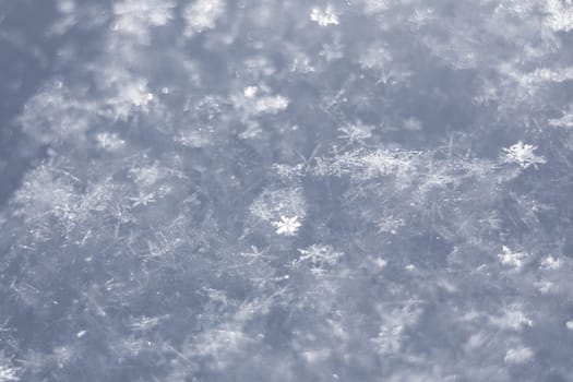 white snowflakes  background, rough pattern of snow texture