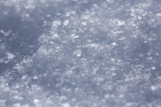 white snowflakes  background, rough pattern of snow texture