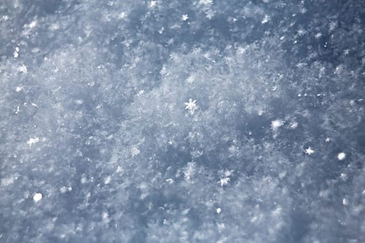 white snowflakes  background, rough pattern of snow texture