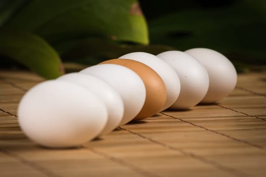 Brown and white eggs with reflection on wood background