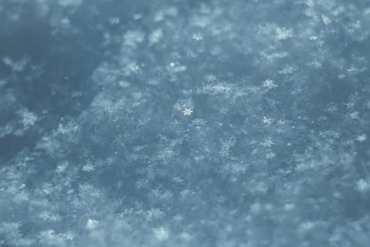 Macro photo of bright snow background