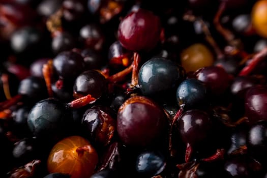 blackcurrant background