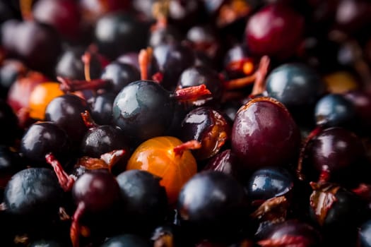 blackcurrant background