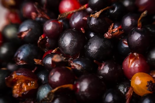 blackcurrant background