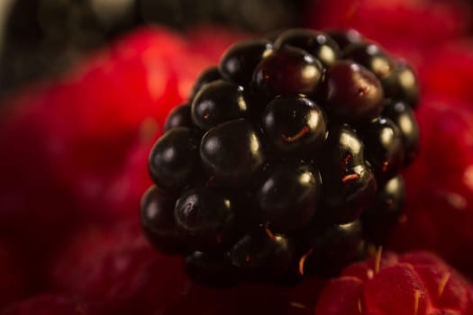 Raspberry on blackberries, macro