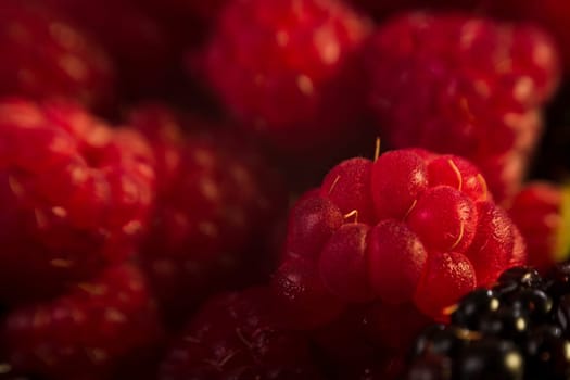 Raspberry on blackberries, macro