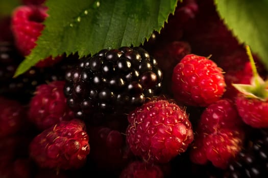 Raspberry on blackberries, macro