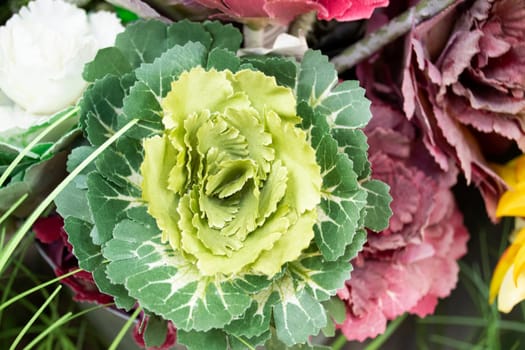 beautiful fall decorating with artificial flowering cabbage close up