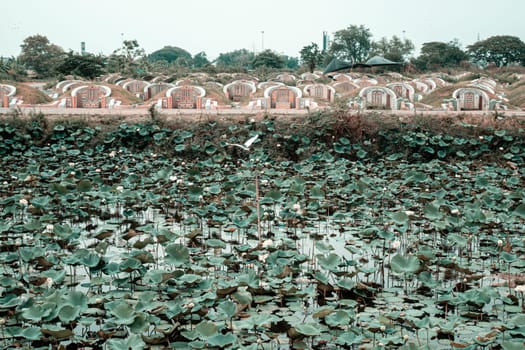 April 14 Nonthaburi Thailand. The gravestones in Chinese Lotus Lake foreground the tombstone reads in red Chinese.