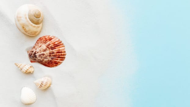 Travel, vacation concept. Sea shells on sand and blue background. Travelling, trip. High quality photo