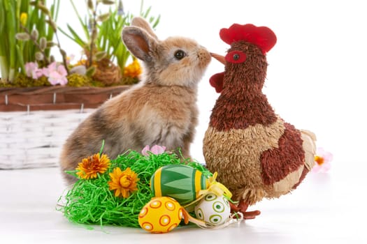 Cute dwarf rabbit with Easter motif on a white background. - kiss