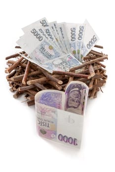 Czech paper money with heart on white background - nest, heart, savings, 5000