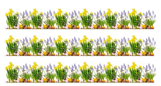 Green grass and spring flowers isolated on white background. High quality photo.