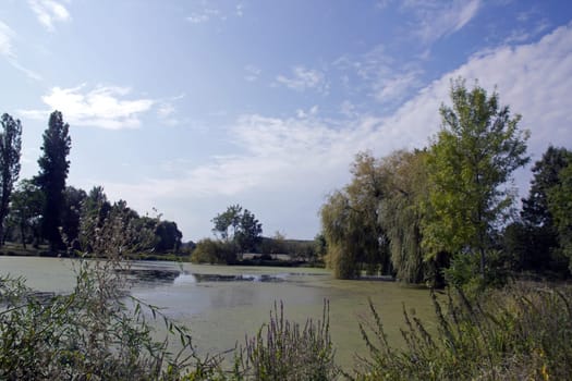 Countryside landscape in Saône et Loire (Burgundy - France). Pond and horizon.