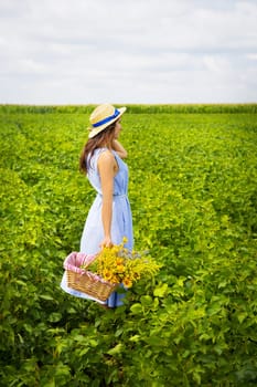 Cute girl in a hat stands in a green field with a bouquet of wild flowers.