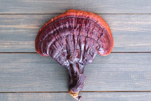 Close up of Ling zhi mushroom, Ganoderma lucidum mushroom on wood table