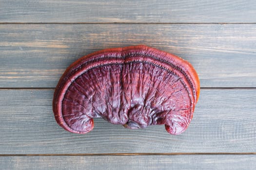 Close up of Ling zhi mushroom, Ganoderma lucidum mushroom on wood table