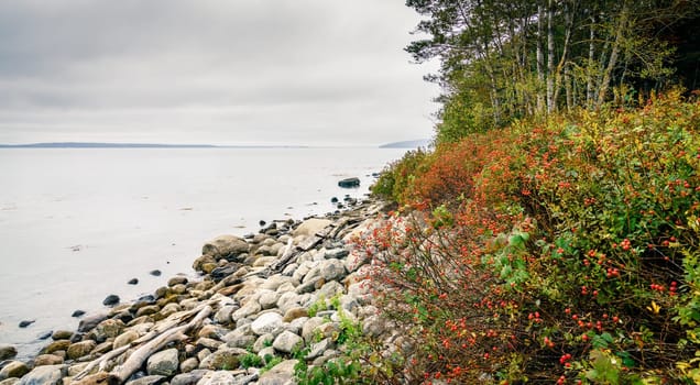 Coastline of Maine, New England at Moose Point State Park in fall