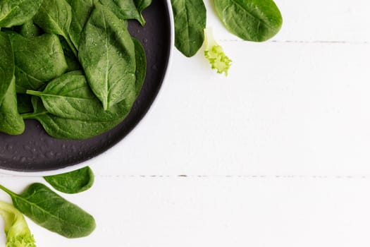 Bowl with fresh green salad leaves, spinach, lettuce, basil on a white background. Healthy vegetarian eating concept. High quality photo