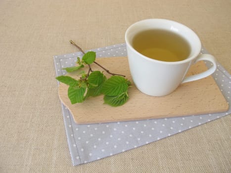 Hazelnut leaf tea and a twig with young hazel leaves