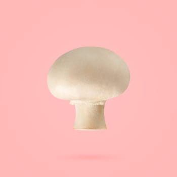 Perfectly retouched whole champignon mushrooms isolated on the pink background with clipping path. Cultivated bisporus. Organic mushroom macro studio photo. Full depth of field.