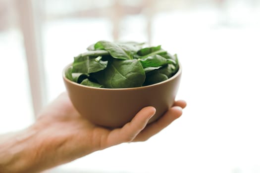 Hand holding bowl with fresh green salad leaves of spinach on blurred background. Healthy vegetarian eating concept. Green leaves of spinach. Gifts of nature. Blessed harvest. High quality photo
