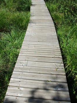 wooden path in wetland in France