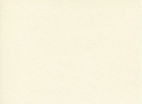 horizontal front view of empty flat white cream colored paper texture with embossed ornament