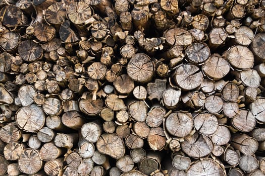 Dried wood log stack, firewood background