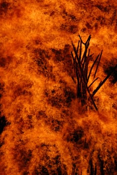 The global warming creates drought which leads to fires and thus to natural disasters.