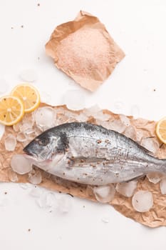 Raw dorada fish or gilt-head bream on ice with lemon and salt over white background, flat lay, top view.