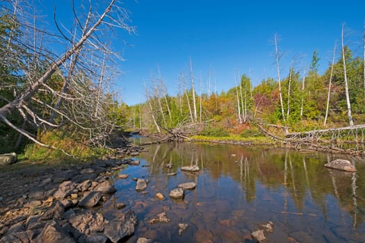 Quiet Stream in Canoe Country on Alpine Lake in the Boundary Waters in Minnesota