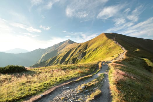 Trail through the Carpathian Mountains during sunrise, July, Poland
