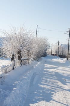 Small streets and trees in town covered in snow